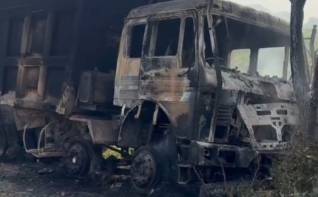 नारायणपुर में ट्रक दुर्घटनाग्रस्त होकर जलकर राख, चालक ने कूदकर बचाई जान