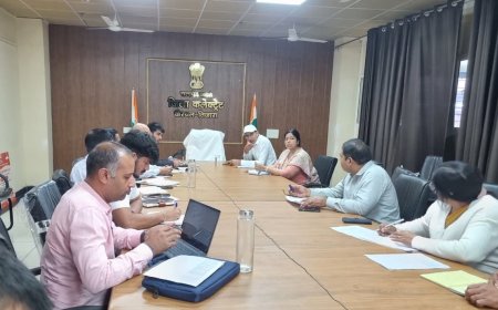 राइजिंग राजस्थान के तहत किए गए एमओयू की क्रियान्विति की प्रगति के संबंध में समीक्षा बैठक आयोजित