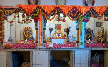 गंगापुर में रेबारी बावजी मंदिर में काल भैरव अष्टमी धुमधाम से मनाई, फूल माला से सजा माता का दरबार, श्रद्धालुओं ने की पूजा