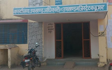 कठूमर में एसडीएम ने पांच बीएलओ को दिया नोटिस