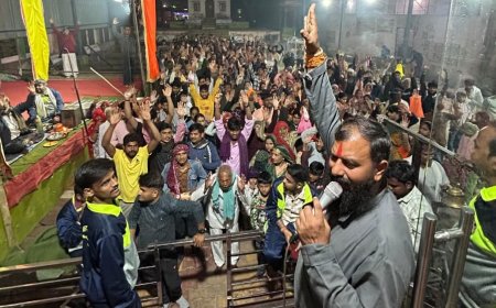 हलैना मे खाटूश्याम बाबा के गूंजे जयकारे, मेला में उमडा जनसैलाव