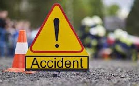 नीलगाय से टकराई स्कूटी, मां-पुत्र गंभीर घायल; युवक की हालत नाजुक