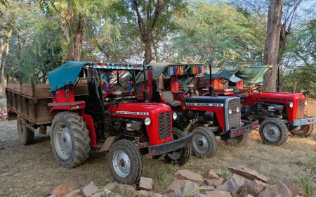 वन विभाग की कार्यवाही: 3 ट्रैक्टर-ट्रॉली जप्त, माफियाओ मे खलबली