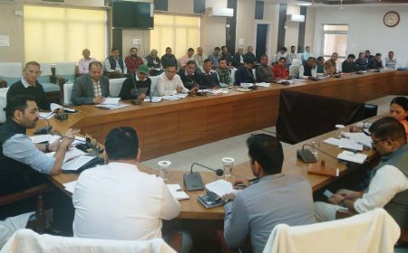 जिला कलक्टर की अध्यक्षता में साप्ताहिक समीक्षा बैठक आयेजित