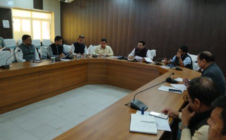 साप्ताहिक समीक्षा बैठक: लंबित आवेदनों के निस्तारण में अधिकारी समयबद्धता से करें कार्य - जिला कलक्टर