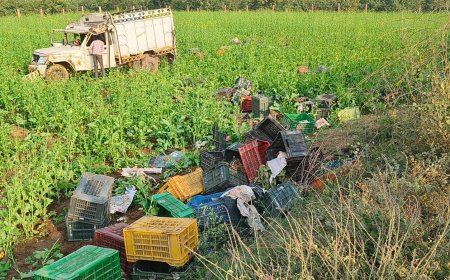 रफ्तार का कहर , बगीचे से अमरुद भर रही खड़ी पिकअप में लोक परिवहन ने मारी टक्कर