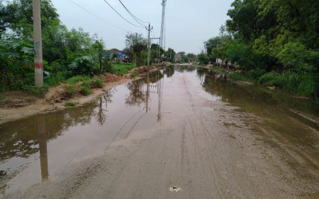 खेरली गुर्जर-गोविन्दपुरा सडक मार्ग पर  गोविन्दपुरा व जटवलाई के पास जल भराव, वाहन चालक एवं राहगीर परेशान