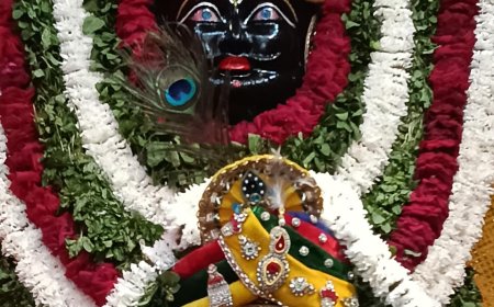 श्री सांवरिया सेठ धाम मंदिर परिसर में  तीन पाटोत्सव कार्यक्रम 30 नवम्बर से 2 दिसंबर तक