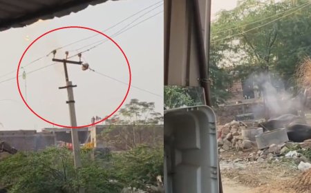 हाई-वोल्टेज लाइन गिरने से दो भैंसों की मौत, ग्रामीणों ने बिजली विभाग पर लापरवाही का आरोप लगाया