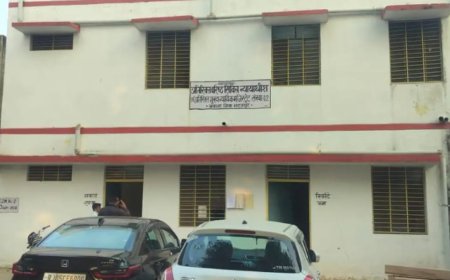 बयाना के जानलेवा हमले के मामले में सजा, दो भाईयों को 7-7 साल का कारावास, 8 साल पहले जमीनी विवाद में किया हमला