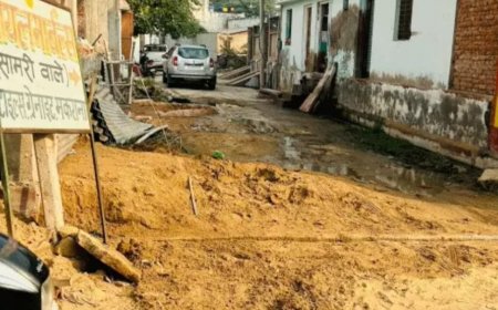 नाली के पानी से राहगीरों को परेशानी, नगरपालिका पर अनदेखी का आरोप, श्याम सरोवर कॉलोनी की सड़क बनी दलदल