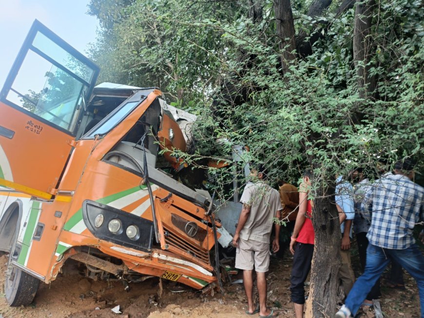 70 यात्रियों से भरी बस पेड़ से टकराई  30 यात्री घायल, 5 यात्रियों की हालत गंभीर;  आगरा से जयपुर जा रही थी बस