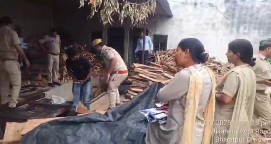 अवैध आरा मशीन सीज, लकडी से भरा  ट्रेक्टर-ट्रॉली जप्त, वन माफियों में खलबली