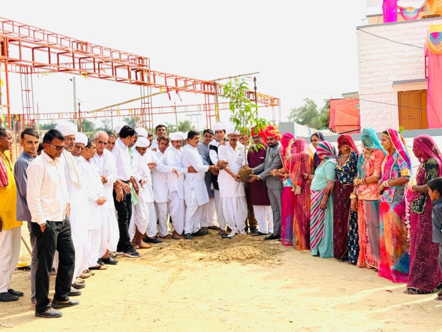 नवविवाहित जोड़े की अनूठी पहल पौधारोपण कर बढ़ाया पर्यावरण के प्रति जागरूकता का संदेश