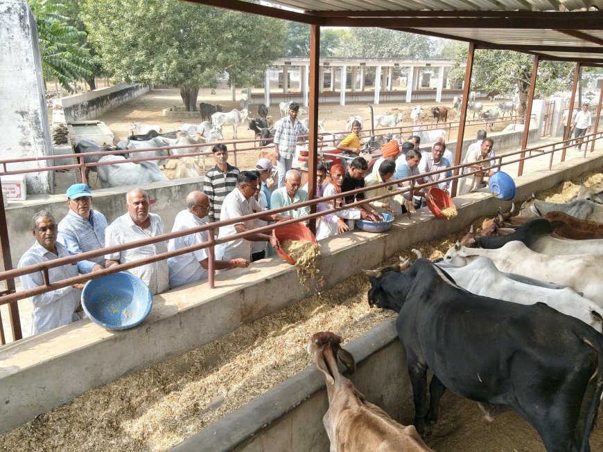 गुरुजी नाथूराम  दाधीच की पुण्य स्मृति  में गौशाला में हुआ गोस्वामणी का आयोजन