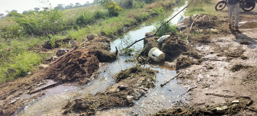 तखतगढ़ माइनर नहर में दोबारा ओवरफ्लो; पुलिया में फंसा नीलगाय का बछड़ा और जमा कचरा बने वजह, विभाग ने बहाल किया जल प्रवाह