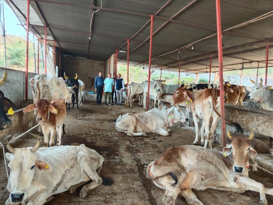 श्री कृष्ण गोपाल गौशाला महुवा का प्रहलाद मीणा संयुक्त निदेशक पशुपालन विभाग दौसा ने किया आकस्मिक निरीक्षण