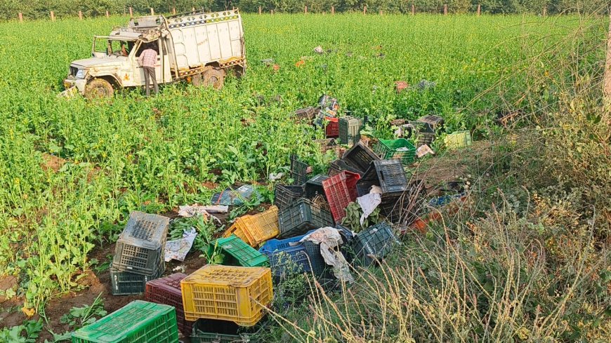 रफ्तार का कहर , बगीचे से अमरुद भर रही खड़ी पिकअप में लोक परिवहन ने मारी टक्कर