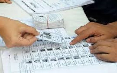 पाली पंचायत समिति सभागार मे बीएलओ एवं बीएलए के लिए हुआ विशेष प्रशिक्षण का आयोजन