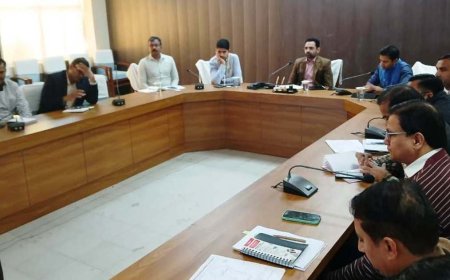 बजट घोषणाओं को धरातल पर उतारने को लेकर अधिकारी पूरी तरह गंभीर रहें -जिला कलक्टर