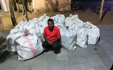 उदयपुरवाटी पुलिस व झुंझुनू डीएसटी की कार्यवाही: कंटेनर की छत में बने गुप्त ठिकाने से 8 क्विंटल से ज्यादा गांजा पकड़ा, कीमत लगभग 4 करोड़