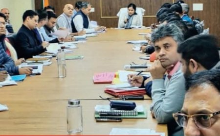 वृक्षारोपण, बजट घोषणाओं और फ्लैगशिप योजनाओं पर की समीक्षा; कलेक्टर की सख्त चेतावनी, समय पर काम पूरा करें विभाग