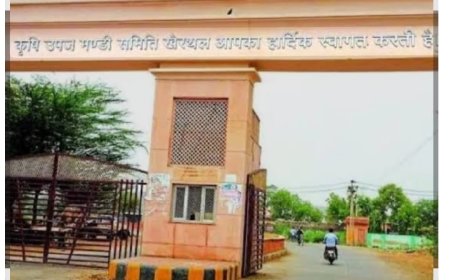 सूक्ष्म उद्योगों और छोटे व्यापारियों को बड़े आर्थिक सहारे के साथ आत्मनिर्भर बनाने की योजना; खाद्य प्रसंस्करण इकाइयों को मिलेगा 10 लाख तक अनुदान