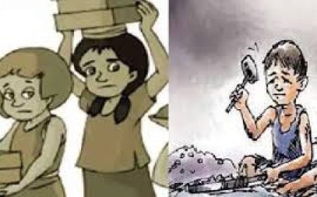 जिला स्तरीय बाल श्रमिक टास्क फोर्स की बैठक सम्पन्न