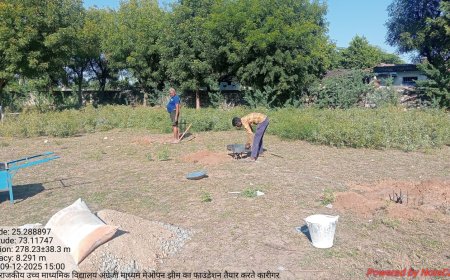 दुजाना ग्राम पंचायत की पहल राजकीय विद्यालय में ओपन जिम लगाने की तैयारी