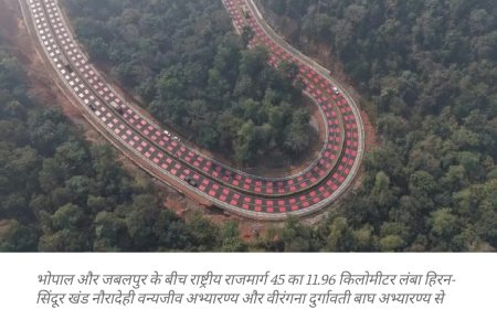 भारतीय राष्ट्रीय राजमार्ग प्राधिकरण ने 12 किलोमीटर के खंड पर 25 अंडरपास का निर्माण