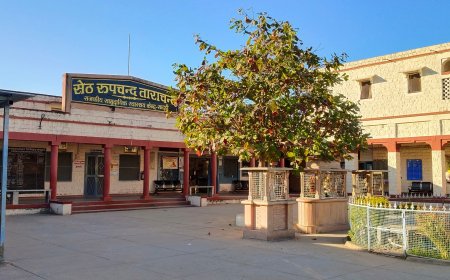 सादड़ी सामुदायिक स्वास्थ्य केन्द्र में डाक्टर के कमी के कारण आये दिन मौत का तांडव