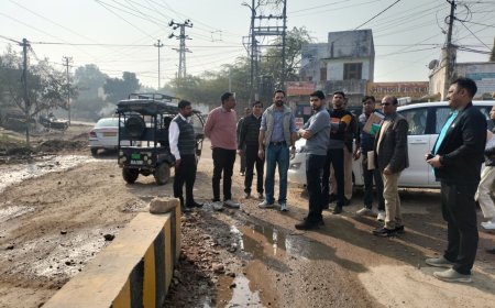 जिला कलक्टर ने किया बीडीए विकास कार्यों का आकस्मिक निरीक्षण, विकास कार्यों में गुणवत्ता एवं समयबद्धता से समझौता नहीं - जिला कलक्टर