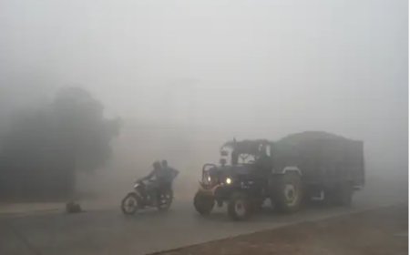 गोविंदगढ़ में घना कोहरा छाया, विजिबिलिटी घटी:ग्रामीण सड़कों पर वाहनों की रफ्तार धीमी, हेडलाइट जलाकर चलना पड़ा