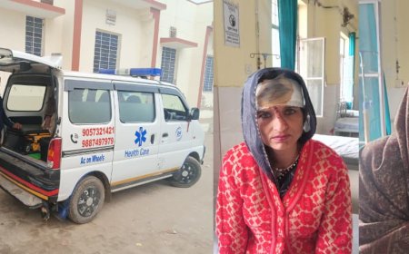 ट्रेलर से कार में मारी टक्कर, हादसे में तीन घायल; हलैना पुलिस बनी मददगार, महवा से वृन्दावन जा रहे घूमने