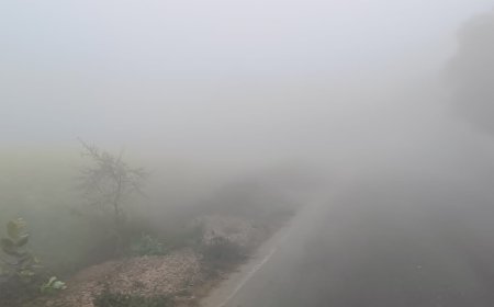 महवा में कोहरे ने बढ़ाई ठंड, शहर में घना कोहरा छाया