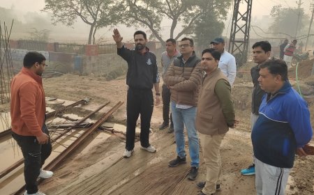 जिला कलक्टर ने शहर में सीएफसीडी योजना के कार्यों का किया औचक निरीक्षण