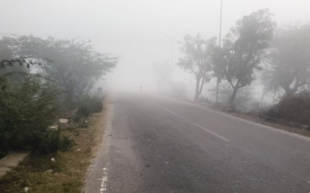 घने कोहरे ने रोकी रफ्तार,  स्टेट हाईवे पर दुर्घटनाओं का खतरा
