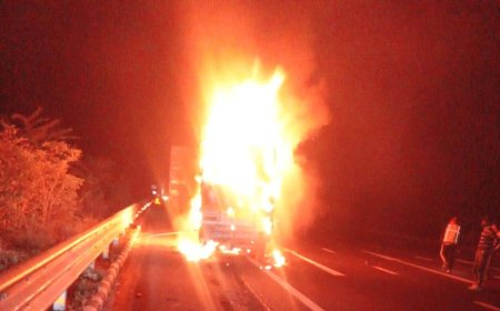 दिल्ली–मुंबई एक्सप्रेसवे पर दर्दनाक हादसा।तीन की लोगों की जिंदा जलकर मौत