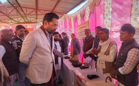 जिला कलक्टर ने ग्रामीण एवं शहरी समस्या समाधान शिविरों का किया निरीक्षण