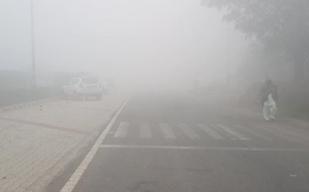 गोविंदगढ़ क्षेत्र में ठिठुरन बढ़ी, रात का तापमान गिरा: सुबह कई हिस्सों में कोहरा छाया, ठंडी हवाओं ने मौसम में बढ़ाई गलन