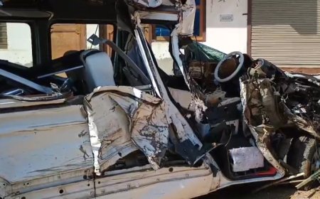 स्टेट हाईवे पर ट्रैवलर गाडी और ईंटों से भरी ट्रैक्टर-ट्रॉली की आमने-सामने भिड़ंत,  चालक की मौत