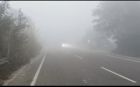 वैर में घना कोहरा और कड़ाके की ठंड, जनजीवन प्रभावित