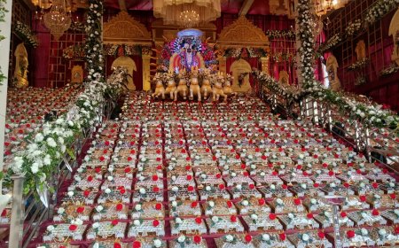 दिव्य छप्पन भोग में सजे 56 प्रकार के पकवान, गूंजे श्री गिरिराज धरण के जयकारे;  सन्त दर्शन एवं भण्डारे में उमडा जनसैलाब