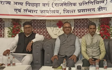 राजस्थान राज्य अन्य पिछड़ा वर्ग (राजनैतिक प्रतिनिधित्व) आयोग: जिला स्तरीय जनसंवाद कर एकत्रित किए तथ्य और सुझाव