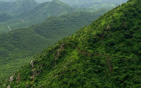 अरावली नहीं रही तो उत्तर भारत में क्या बदल जाएगा? पांच बड़े खतरे