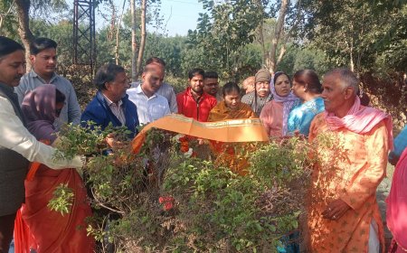 श्री कामधेनु बालाजी मंदिर मे तुलसी पूजन के साथ पोष बड़ा का भव्य आयोजन संपन्न