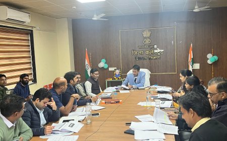 राजस्व विभाग के अधिकारियों की मासिक बैठक का हुआ आयोजन