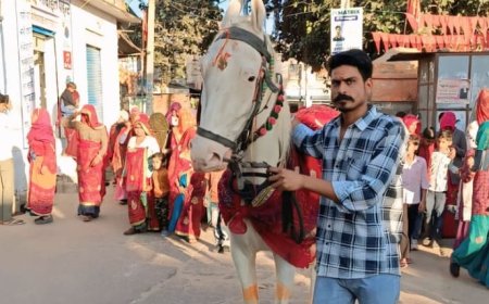 जाखल में घोड़ी के बच्चे के जन्म पर कुआं पूजन, सामूहिक भोज का हुआ आयोजन