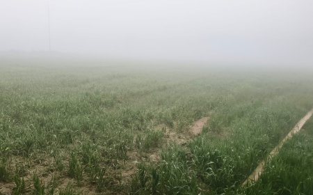 घने कोहरे ने धीमी की वाहनों की रफ्तार, बढ़ते ठंढ़ से जनजीवन पर लगा विराम