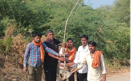 नववर्ष के आगमन पर बरगद व पीपल के पौधे लगाकर दिया पर्यावरण संरक्षण का संदेश